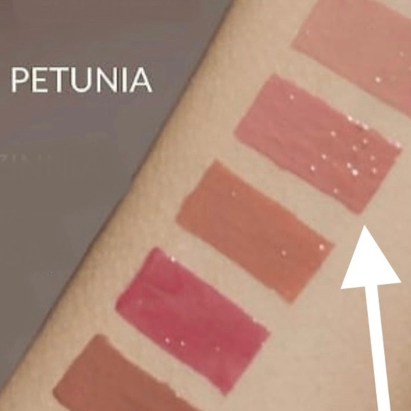 KVD Beauty XO Lip Gloss in Petinia 30 2.7ml/.091 FL OZ - Picture 6 of 12